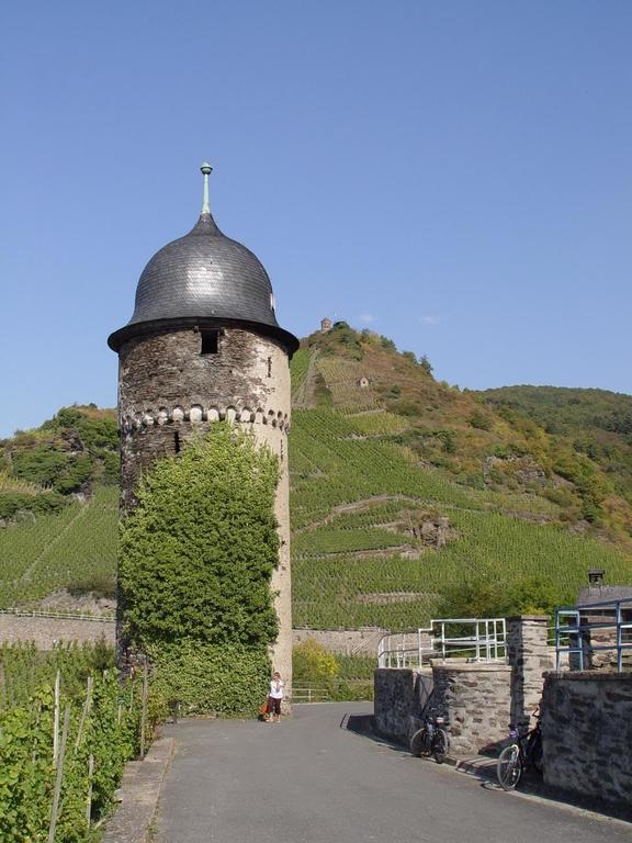 Pension Adelheid Moselhype&Wine Zell an der Mosel Exterior photo