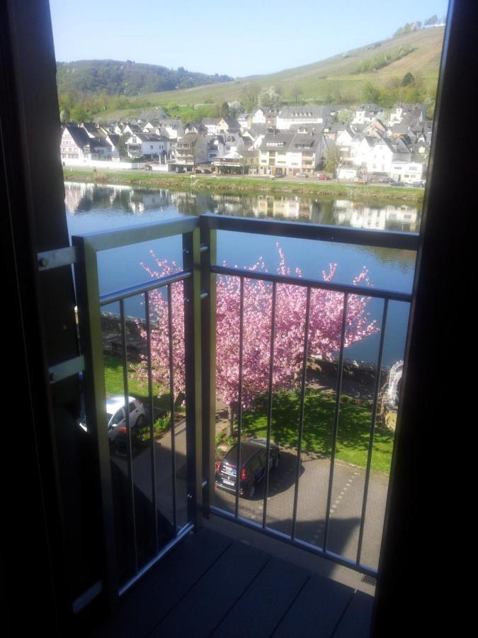 Pension Adelheid Moselhype&Wine Zell an der Mosel Exterior photo